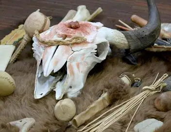 A la reconquête des Rocheuses - Saison 1 - Des terres d'accueil pour les bisons – affiche