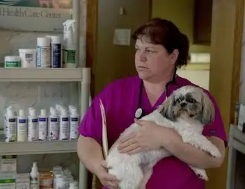 L'incroyable Dr Pol - Saison 2 - Que d'émotions ! – affiche