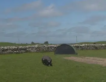 Vétérinaires en terre d'Ecosse - Saison 2 - Episode 11 – affiche