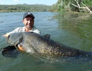 Bêtes de poissons - Saison 2 - Le silure géant d'Espagne – affiche