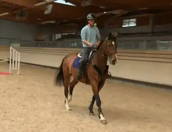 Au galop ! - Saison 6 - Les académiciens à l'assaut des concours – affiche