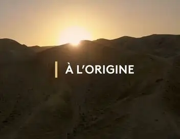 A l'origine - Horizon : pardon – affiche