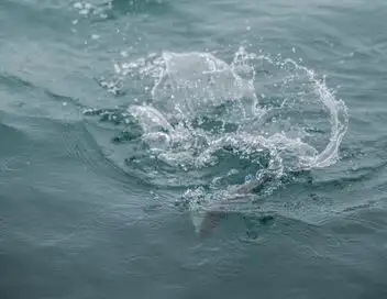 Label Pêche à Ouessant - Saison 1 – affiche