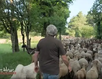 Les héros du patrimoine - Transhumance : ils réinventent la tradition – affiche