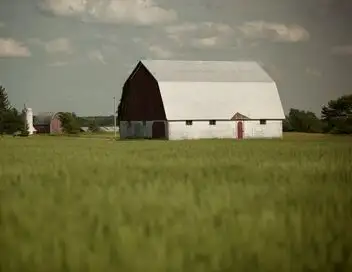 L'incroyable Dr Pol - Saison 2 - Vague de chaleur – affiche