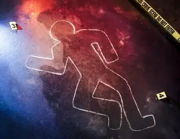 Enquêtes criminelles - Le Grêlé : un tueur au-dessus de tout soupçon (2/2) – affiche