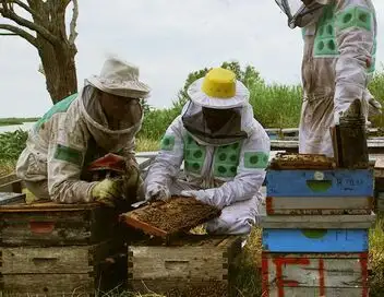Les maîtres des abeilles - Saison 1 - Argentine, à la recherche du paradis – affiche