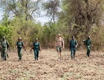 Sur la piste des chiens sauvages d'Afrique - Saison 2 - Une meute en pleine santé – affiche