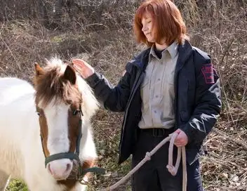 Animal Cops - Saison 12 - Sauvetage de chevaux – affiche