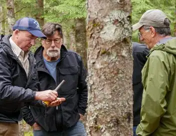 Le mystère d'Oak Island - Saison 11 - Situation critique – affiche