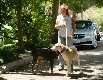 Pitbulls et prisonniers - Saison 8 - Speed Dating – affiche