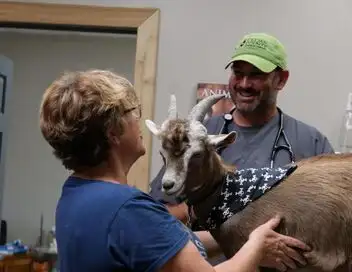 Les Vétérinaires du Midwest - Saison 3 - Un cheval qui en a sous le pied – affiche