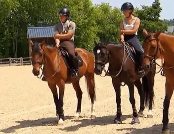 Au galop ! - Saison 6 - Une star à Deauville – affiche