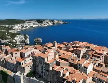 Des racines et des ailes - La Corse, terre d'émotions – affiche