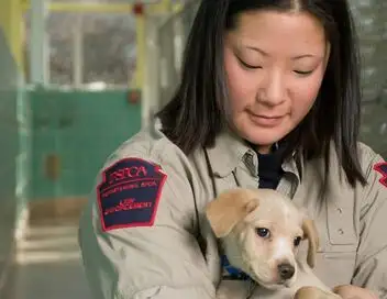 Animal cops Philadelphia – affiche