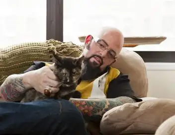 Hell's Cats - Saison 3 - Querelles de chats – affiche