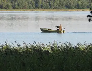 Tous fous du calibre 20 - Saison 3 - Canards des îles – affiche