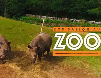 Une saison au zoo - Saison 13 – affiche