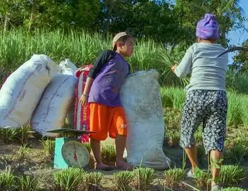 Nomade des mers, les escales de l'innovation - Saison 2 - Philippines, île de Negros – affiche