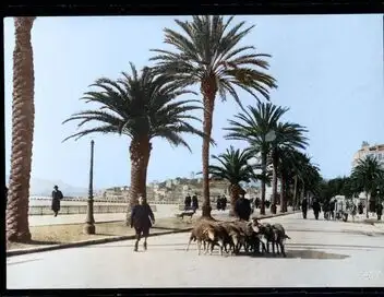 Et dieu créa la Côte d'Azur – affiche