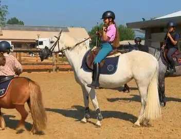 Au galop ! - Saison 6 - La rentrée des petits cavaliers – affiche