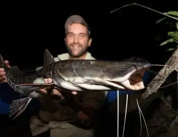 Bêtes de poissons - Saison 2 - Rafting en Amazonie – affiche