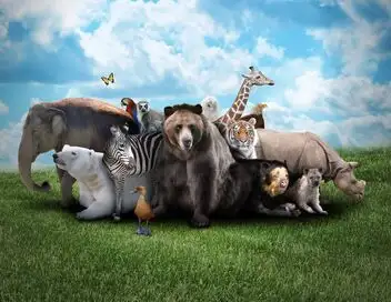 La dynastie des chiens de prairie - Saison 1 - Guerre de territoire – affiche