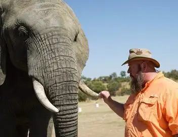 Les superpouvoirs des animaux - Saison 1 - Pourquoi les hippocampes sont-ils presque invincibles ? – affiche