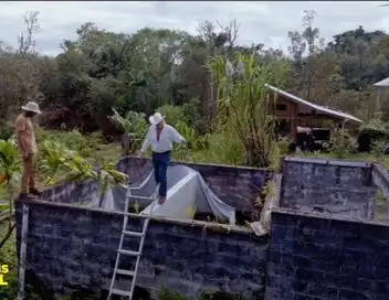 Habitations en péril - Saison 12 - Tempête à Hawaï – affiche