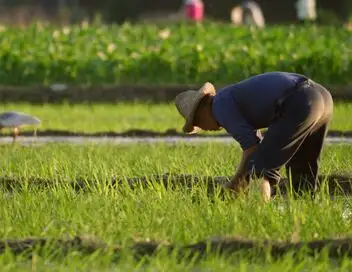 Secrets sauvages de Chine - Saison 1 - L'île aux forêts tropicales – affiche