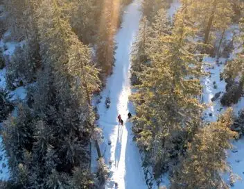 Sale temps pour la planète - Saison 16 - Vosges, coup de chaud sur le massif – affiche