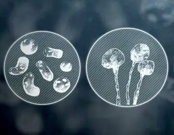 Les vrais maîtres de la Terre : Les microbes - Episode 02 – affiche