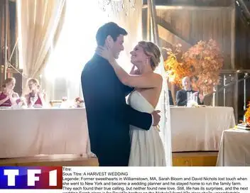Mariage chez mon ex – affiche