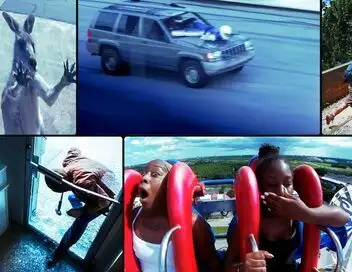 Sur le vif : vidéos insolites - Saison 2 - On ne choisit pas sa famille – affiche