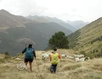 Les 100 lieux qu'il faut voir - Saison 11 - Les Pyrénées, terre d'histoire et de transhumance – affiche