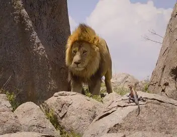 Africa Earth's Wild Home - Saison 1 - Les grandes plaines – affiche