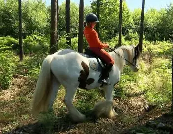 Au galop ! - Saison 6 - Des obstacles naturels – affiche