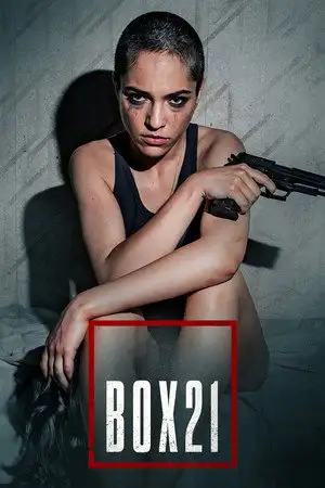 Roslund Hellström: Box 21 - Saison 1 - Janus – affiche