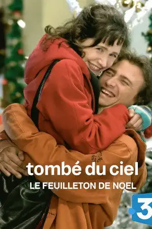 Tombé du ciel - Nos familles – affiche