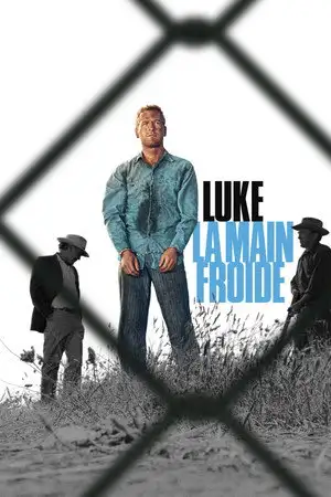Luke la main froide - Ce que nous avons ici... c'est un manque de communication. – affiche