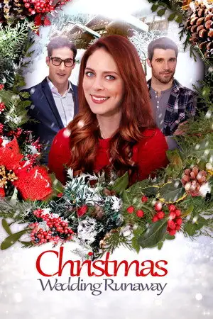 Le Noël de mon meilleur mari – affiche