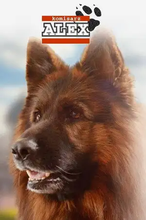 Alex - Saison 1 - Aflevering 4 – affiche