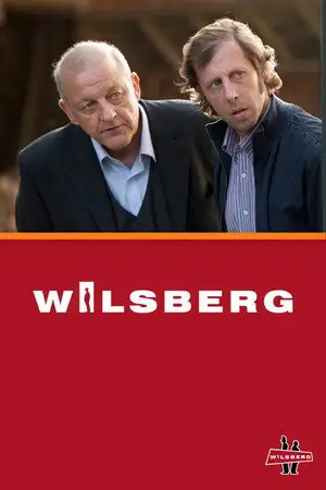 Wilsberg - Saison 0 - Wilsberg und der Mord ohne Leiche – affiche