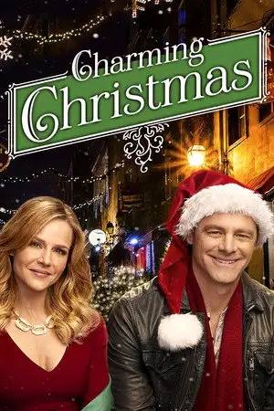 La robe de la Mère Noël – affiche