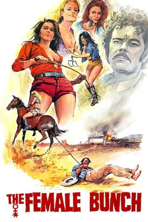 Les amazones du désir – affiche