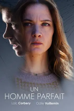 Un homme parfait – affiche