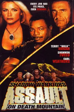 Les Guerriers de l'ombre 2 – affiche