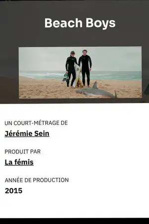 Beach Boys – affiche