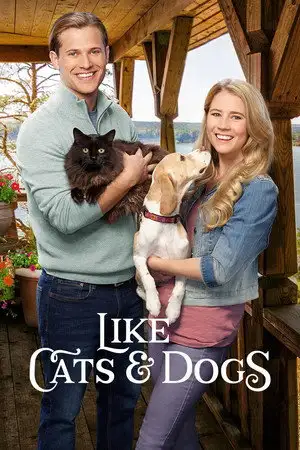 L'amour comme chiens et chats – affiche