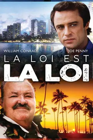 La loi est la loi - Saison 3 - Sur un coup de folie – affiche